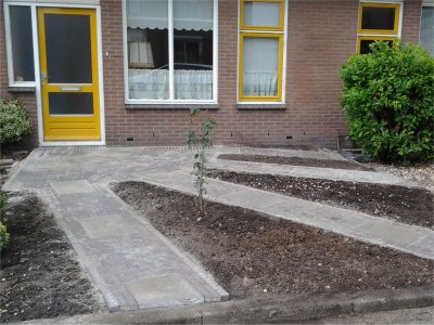 portfolio foto 8